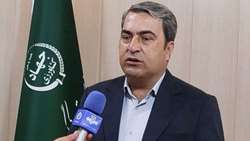 خرید تضمینی گندم در کهگیلویه و بویراحمد از رکورد سال گذشته عبور کرد