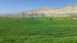پیشرفت ۵۵ درصدی پروژه ایستگاه پمپاژ دشت بن در کهگیلویه و بویراحمد؛ آبیاری ۵۰۰ هکتار از اراضی کشاورزی