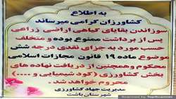 تجهیز کشاورزان با آموزش و آگاهی؛ گامی برای پیشگیری از آتش‌سوزی در باشت
