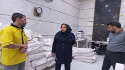 موجودی کالاهای اساسی و آرد نانوایی‌ها در گچساران مطلوب است 