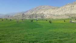 پروژه دشت‌بن لنده پس از شش سال شتاب می‌گیرد