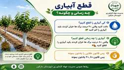 آبیاری درختان را چه زمانی و چگونه قطع کنیم؟