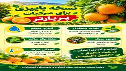 نسخه پاییزی برای مرکبات پربارتر