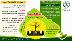 چالکرود روشی موثر در کوددهی