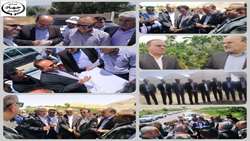 نیازی: 137 هکتار فضای گلخانه‌ای در آستانه بهره برداری است/ افزایش 21000 هزار تنی تولیدات استان