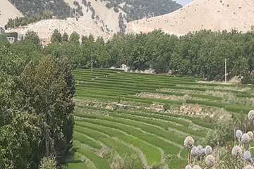 IMG_20260817_151049_710