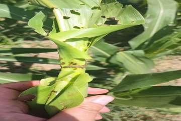IMG_20260824_220810_056