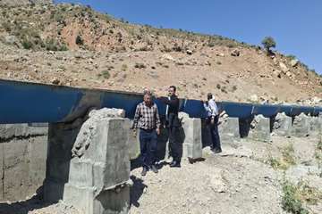 photo28515558262