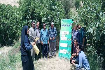 بهمیی