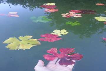photo27200208941