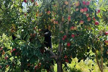 IMG_20260901_121533_458