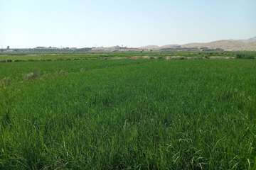 photo_29851450473_x