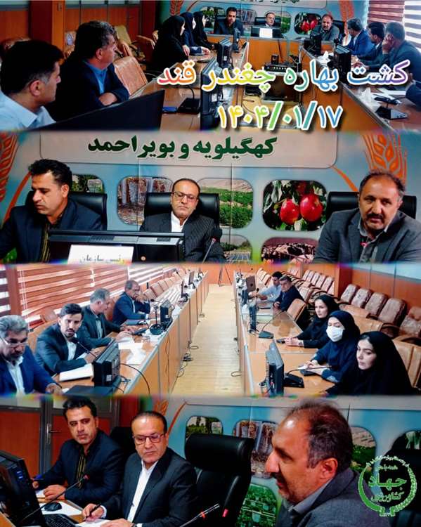 کشت ۳۰۰ هکتار چغندرقند در قالب کشاورزی قراردادی/منفعت کشاورز و کارفرما هر دو باید لحاظ شود/ کارخانه قند یاسوج فرصتی برای حمایت از کشاورزان و رونق تولید است 1