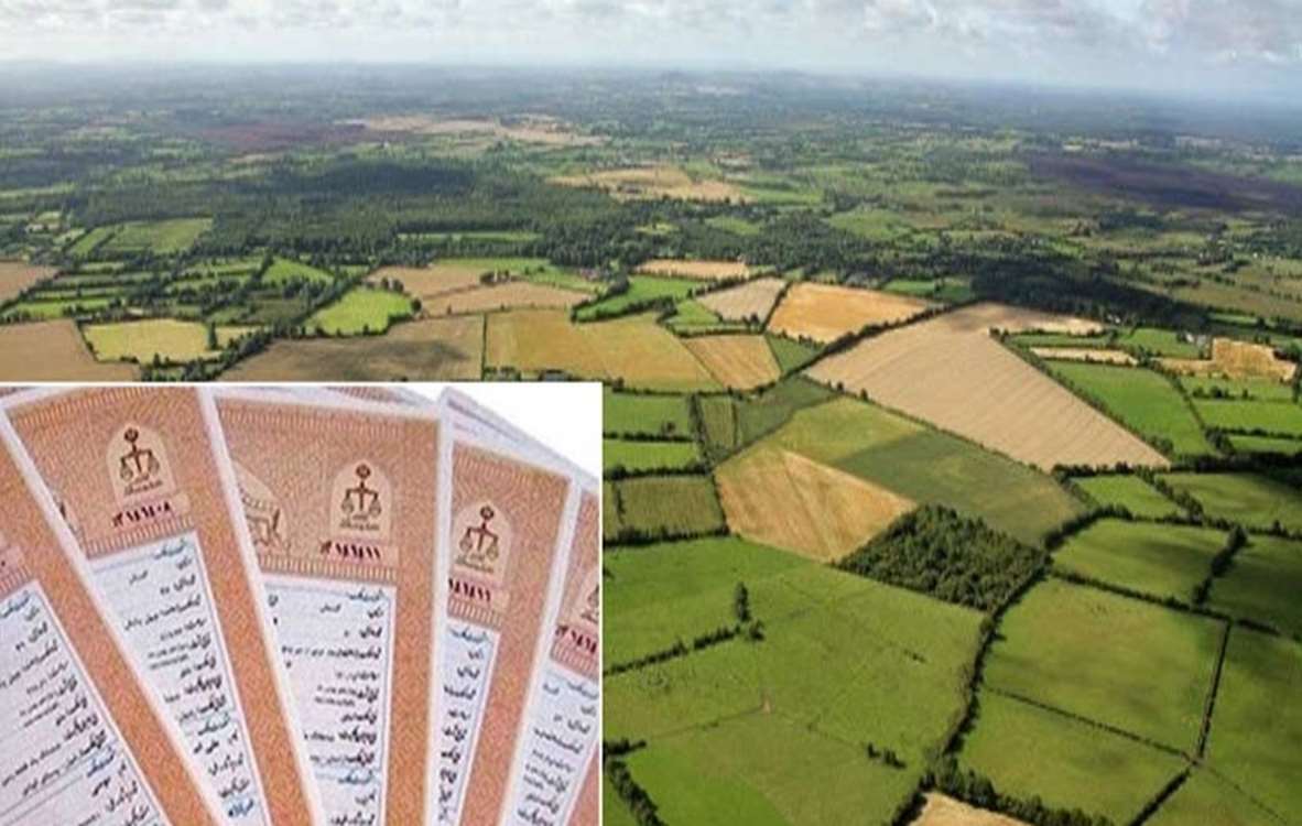 سند 