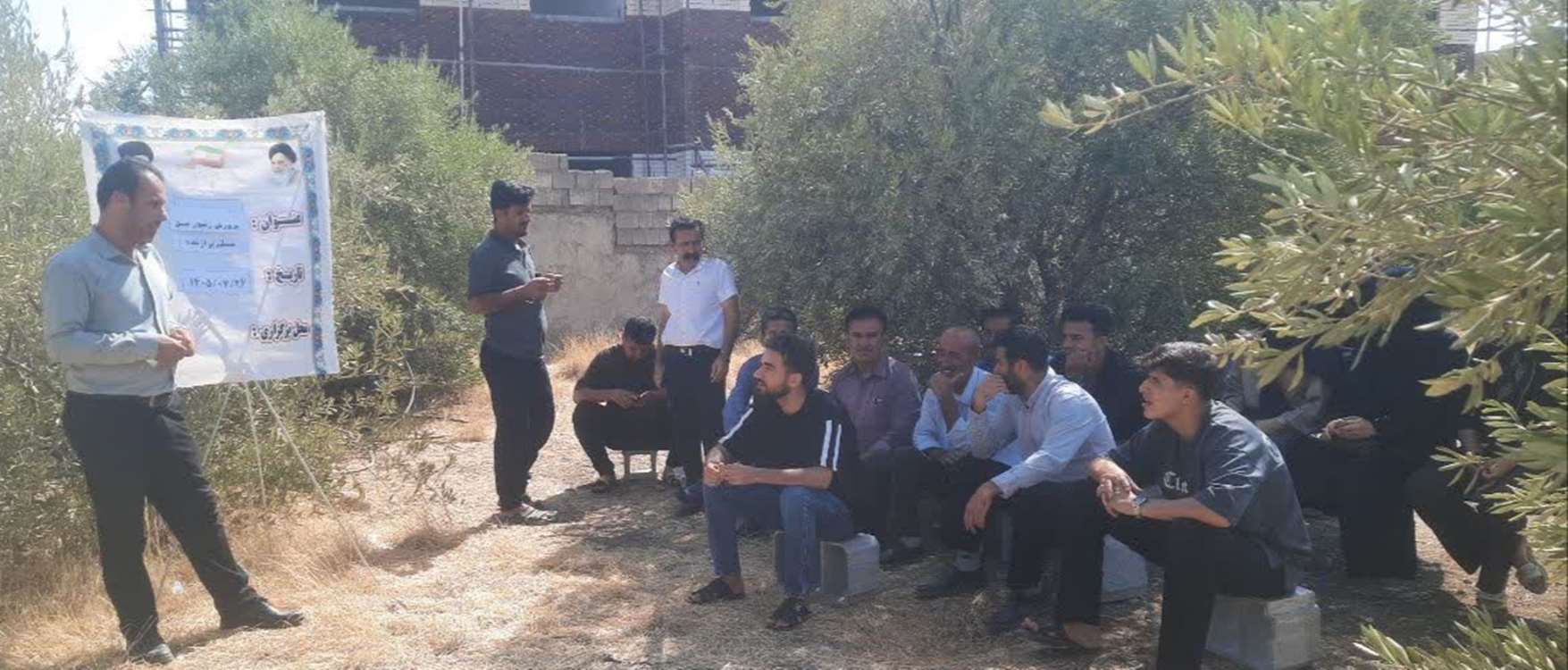 زنبور 