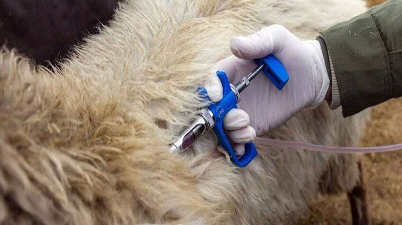 واکسن 