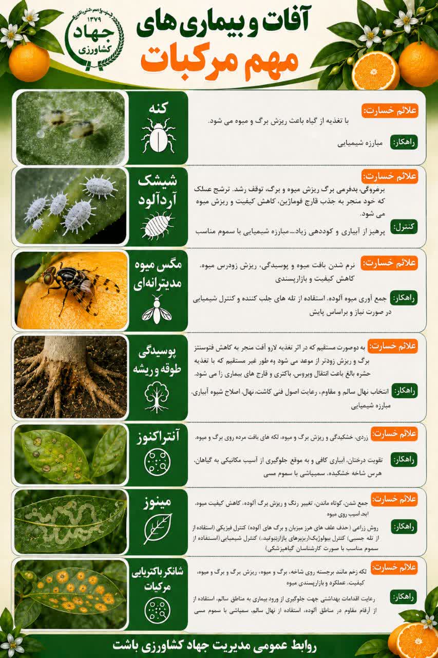 آفات و بیماریهای مرکبات