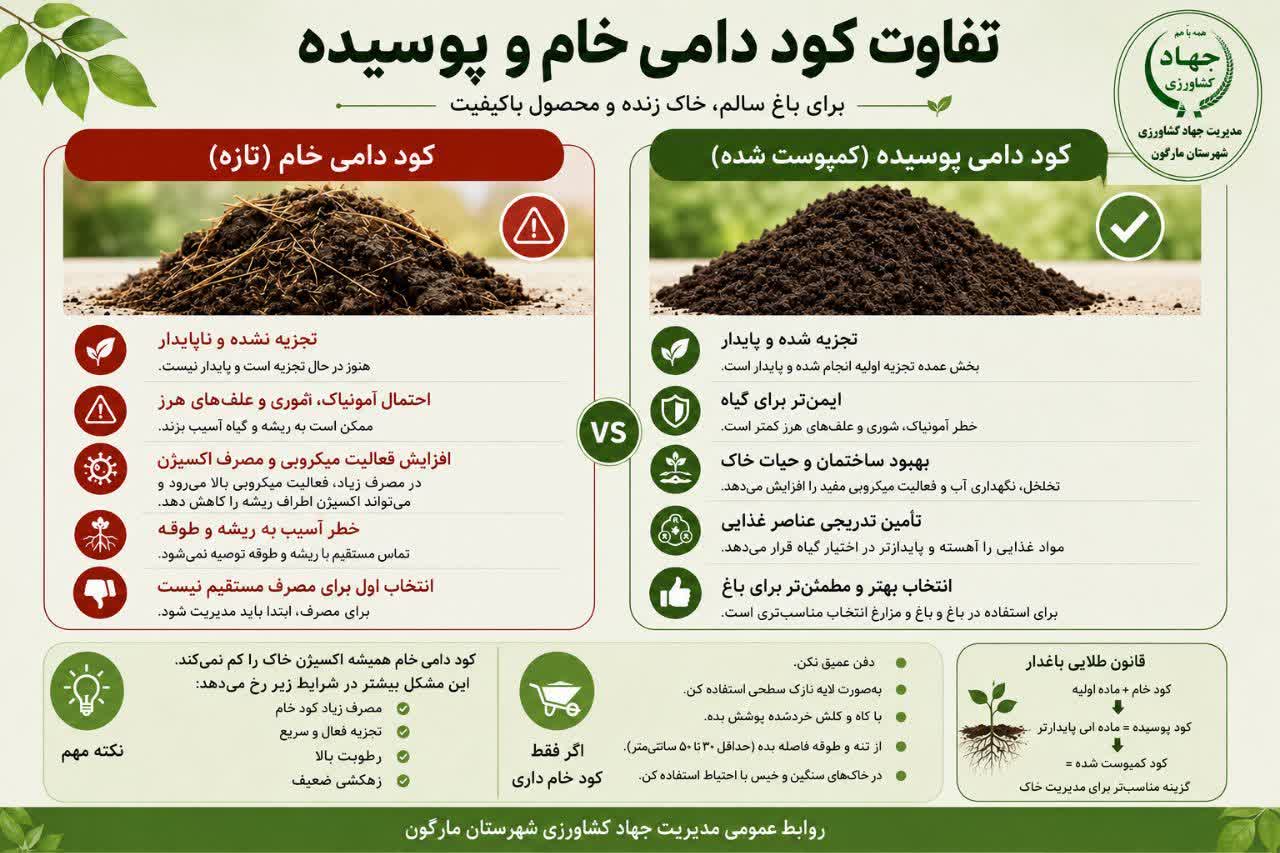 تفاوت کود دامی خام و پوسیده