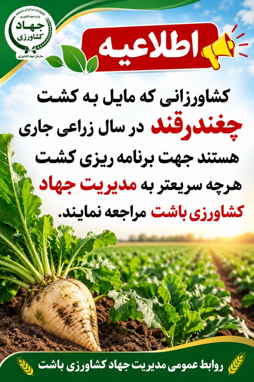 قابل توجه کشاورزانی که مایل به کشت چغندرقند در باشت هستند