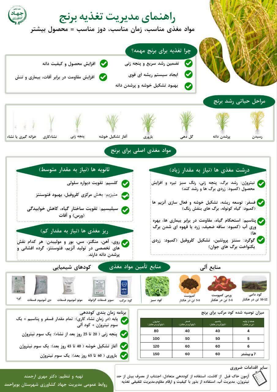راهنمای مدیریت تغذیه برنج