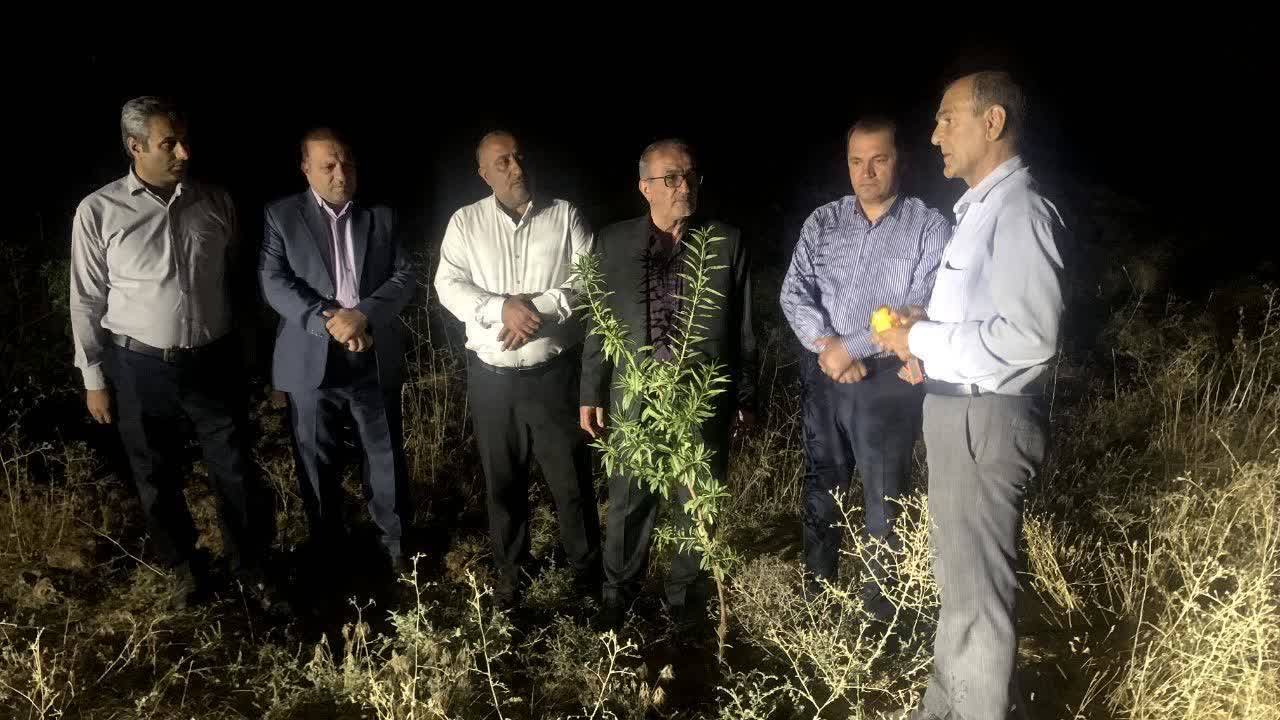 جنگلداری اجتماعی، نسخه شفابخش احیای جنگل‌ها و اشتغال‌زایی مردم در کهگیلویه و بویراحمد