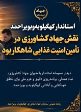 دیدار