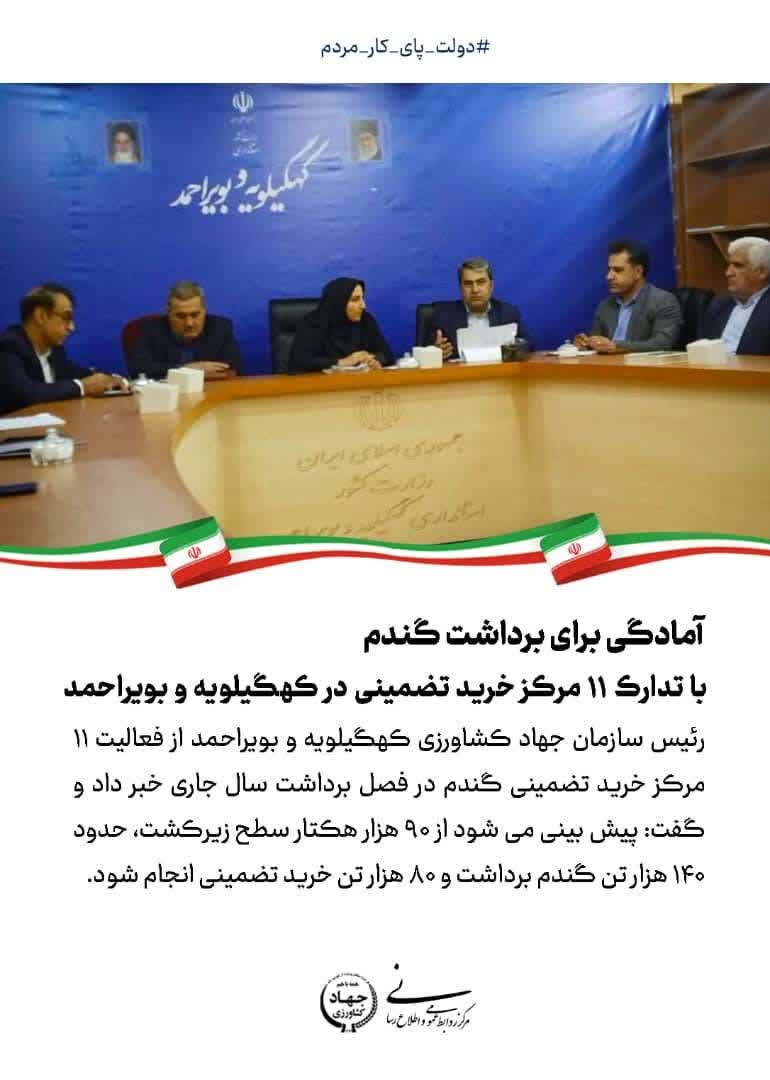 آمادگی برای برداشت گندم