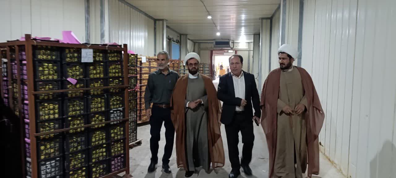 تأکید بر نقش کلیدی سردخانه‌ها در تنظیم بازار میوه کهگیلویه‌وبویراحمد