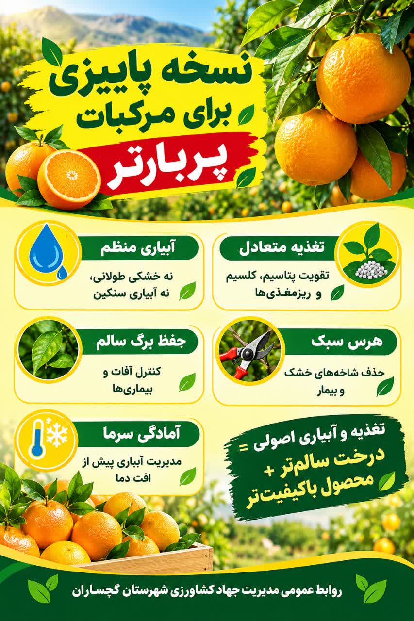 نسخه پاییزی برای مرکبات پربارتر