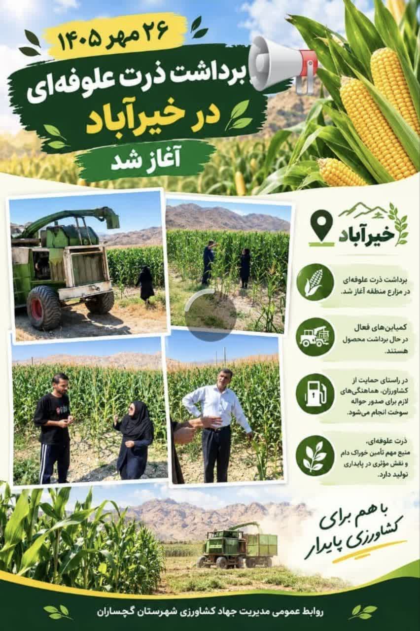 آغاز برداشت ذرت علوفه‌ای در خیرآباد شهرستان گچساران