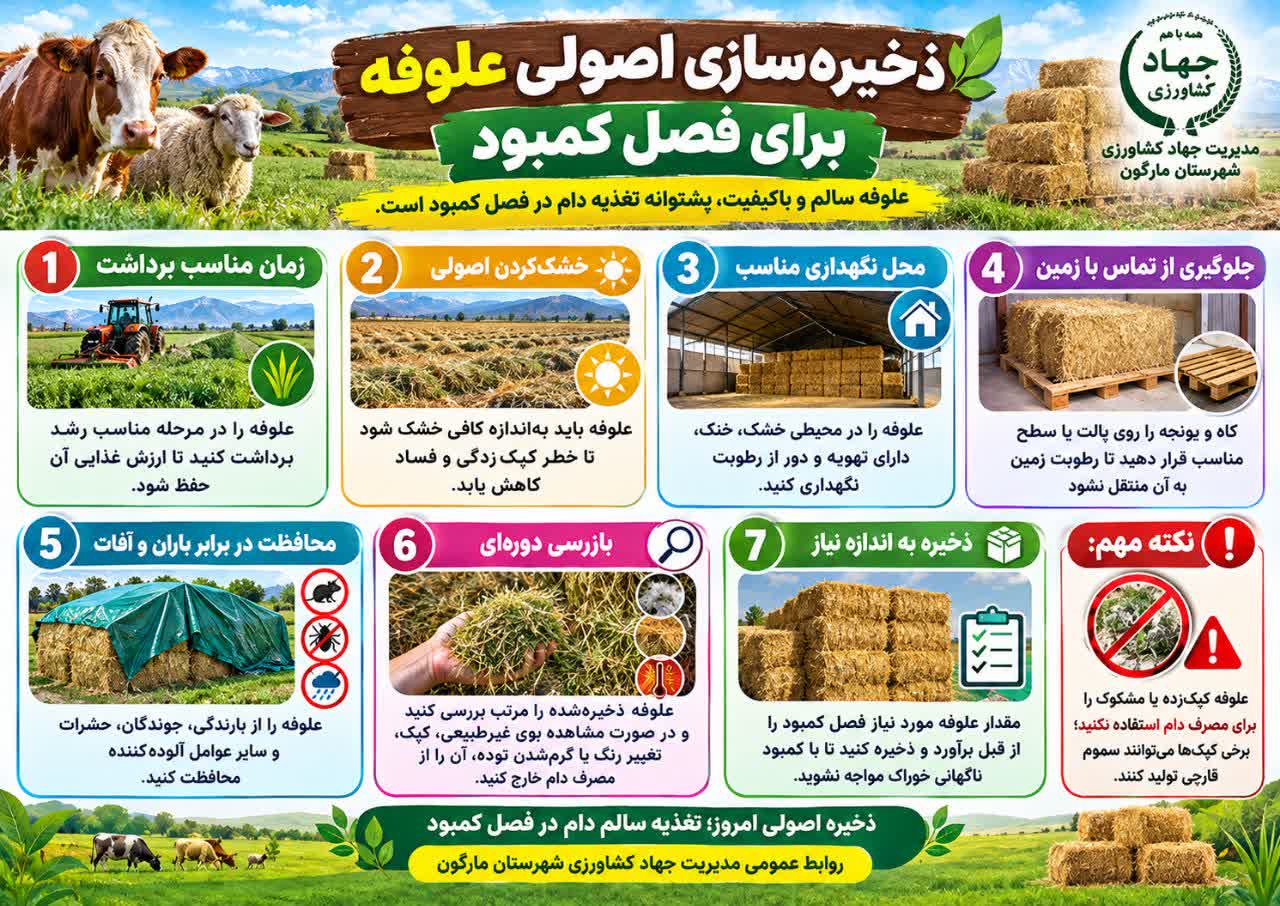 ذخیره سازی اصولی علوفه برای فصل کمبود 