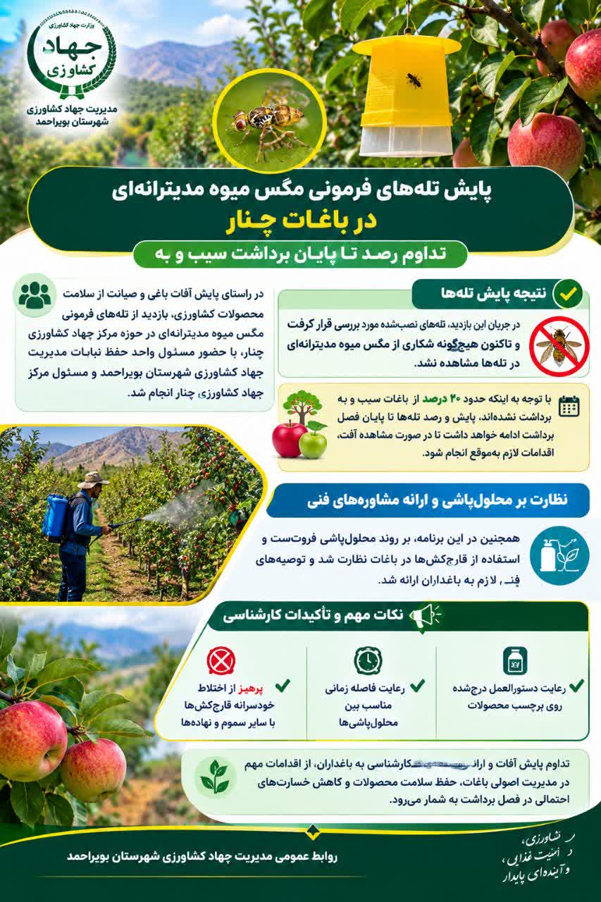ادامه روند پایش تله‌های مگس میوه مدیترانه‌ای در باغ‌های دهستان چنار بویراحمد 