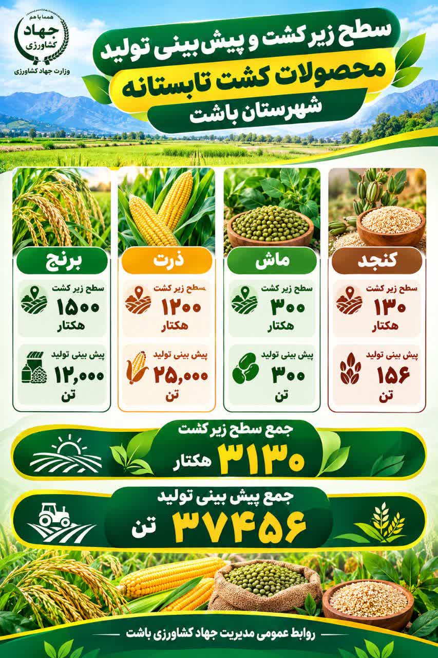 اختصاص سه هزار و ۱۳۰ هکتار از اراضی کشاورزی باشت به کشت محصولات تابستانه