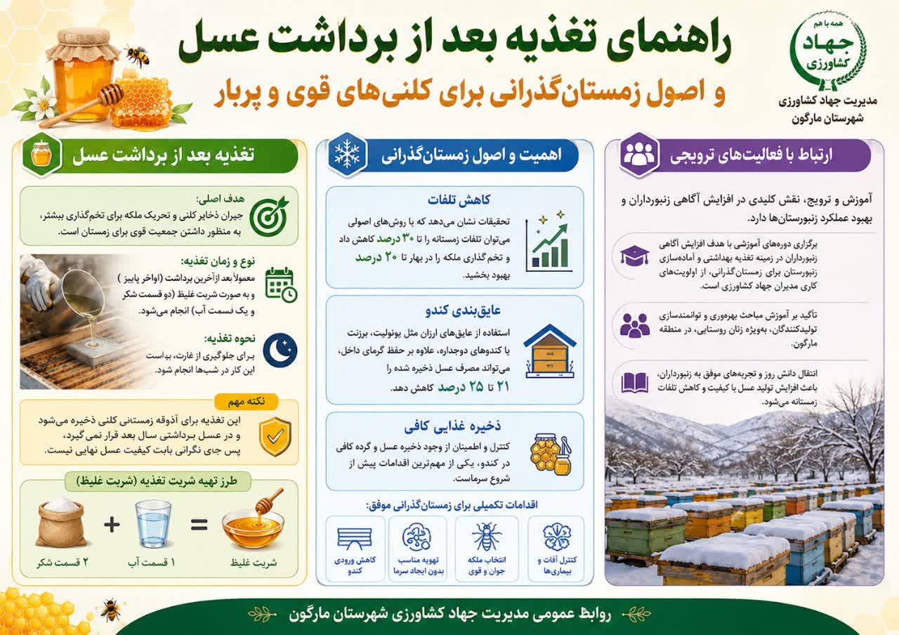 راهنمای تغذیه بعد از برداشت عسل 