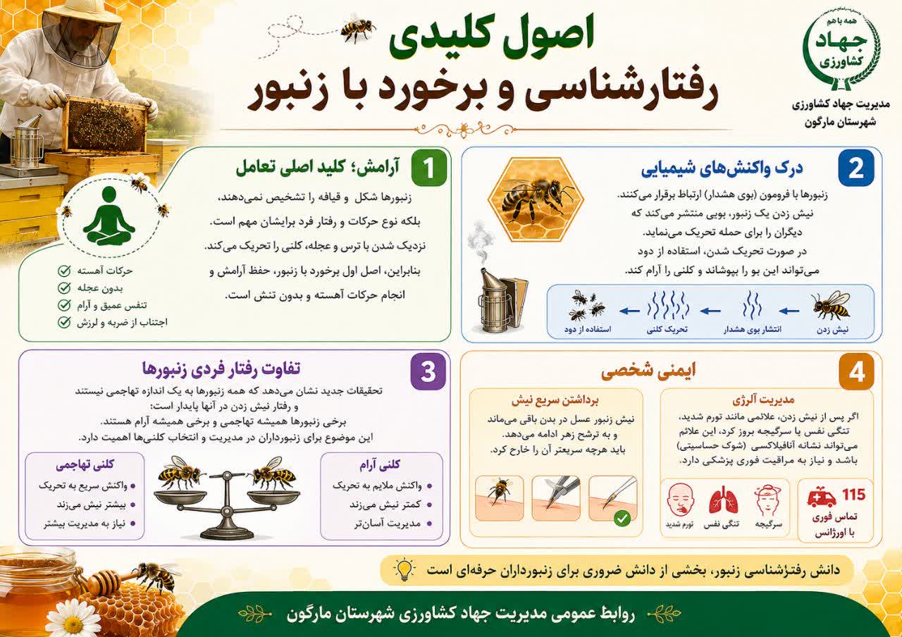 اصول کلیدی رفتارشناسی و برخورد با زنبور