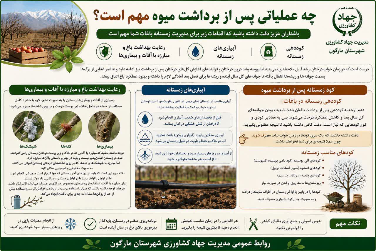 چه عملیاتی پس از برداشت میوه مهم است؟