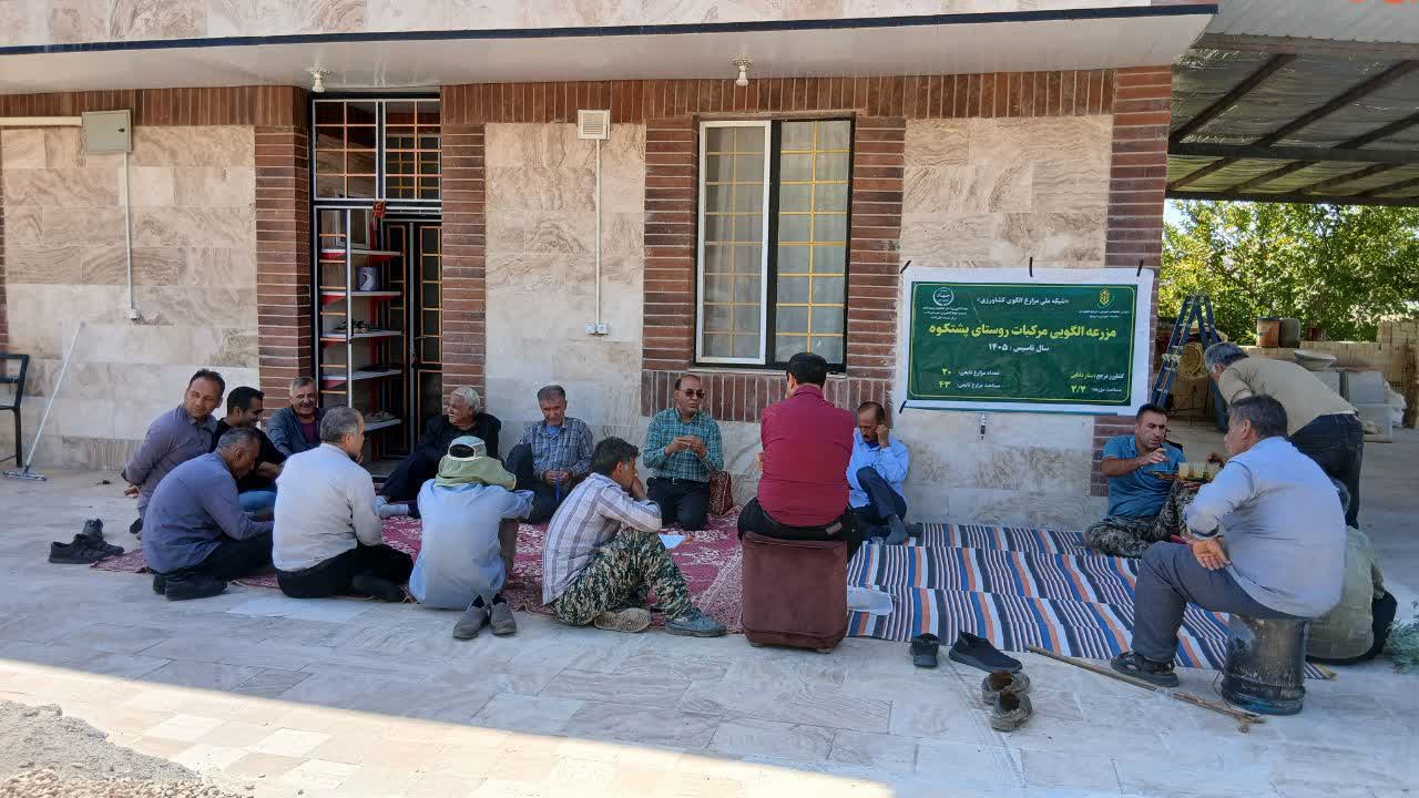 توسعه کشت دانش‌بنیان در باشت/ انتقال یافته‌های تحقیقاتی به باغداران مرکبات 
