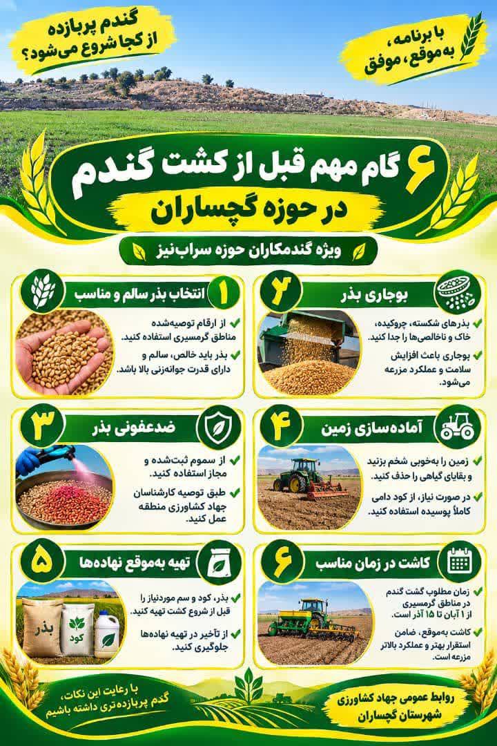شش گام مهم قبل از کشت گندم در گچساران