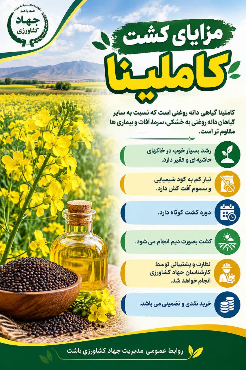 مزایای کشت کاملینا
